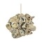 Coastal Oyster Shell Decor Versatile Shell Ornaments Home and Event Decoration